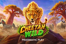 Cheetah Wild
