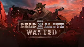 Dead or Alive 3: Wanted