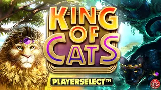 King of Cats